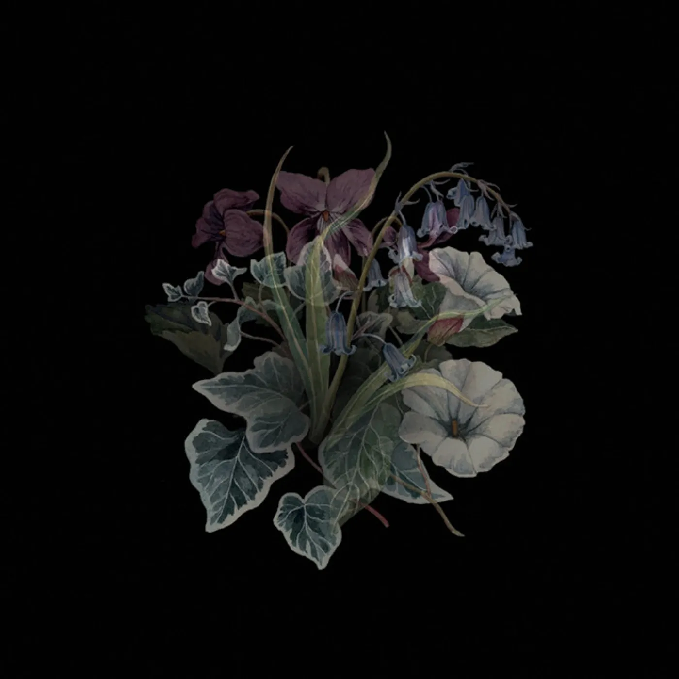 Nhor Wildflowers Vinyl Record