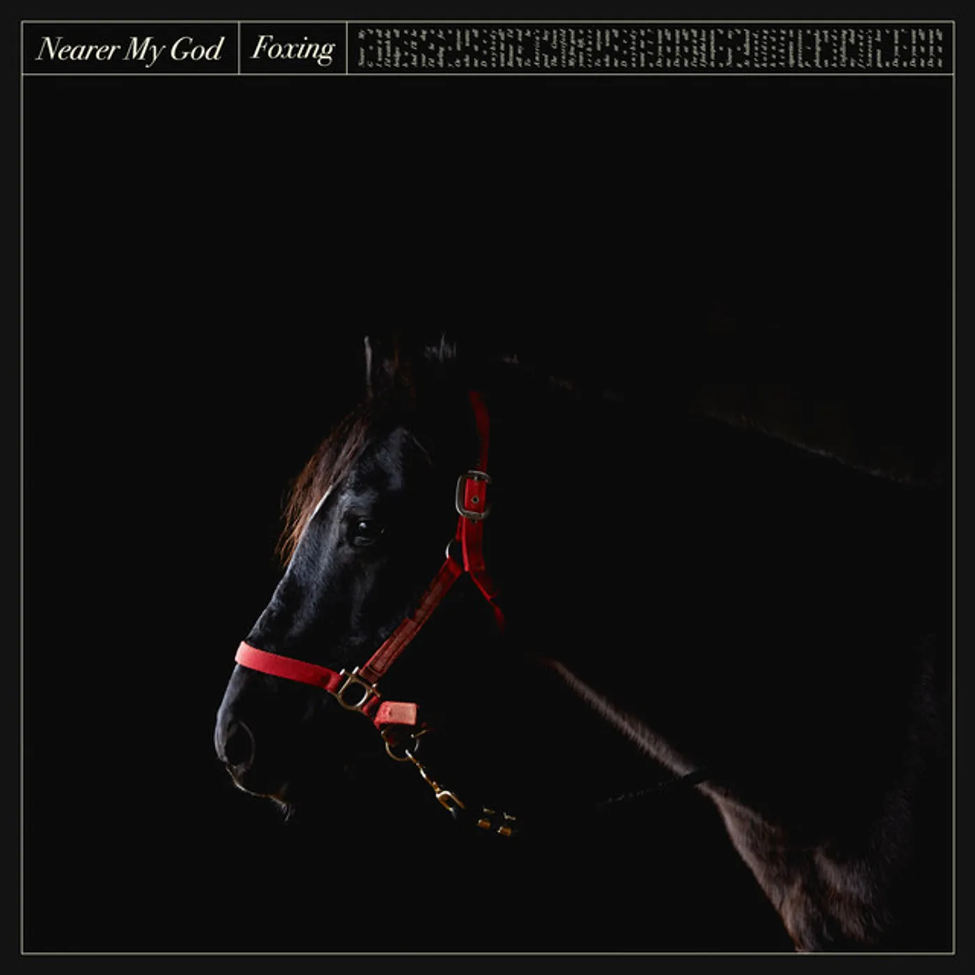 Foxing Nearer My God Vinyl Record