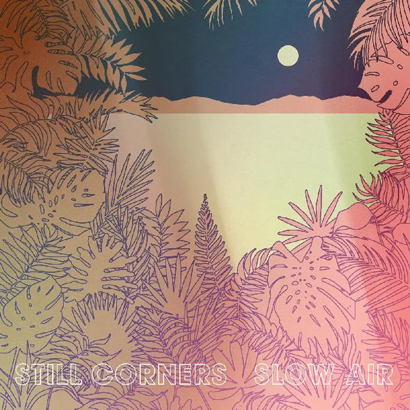 Still Corners SLOW AIR CD