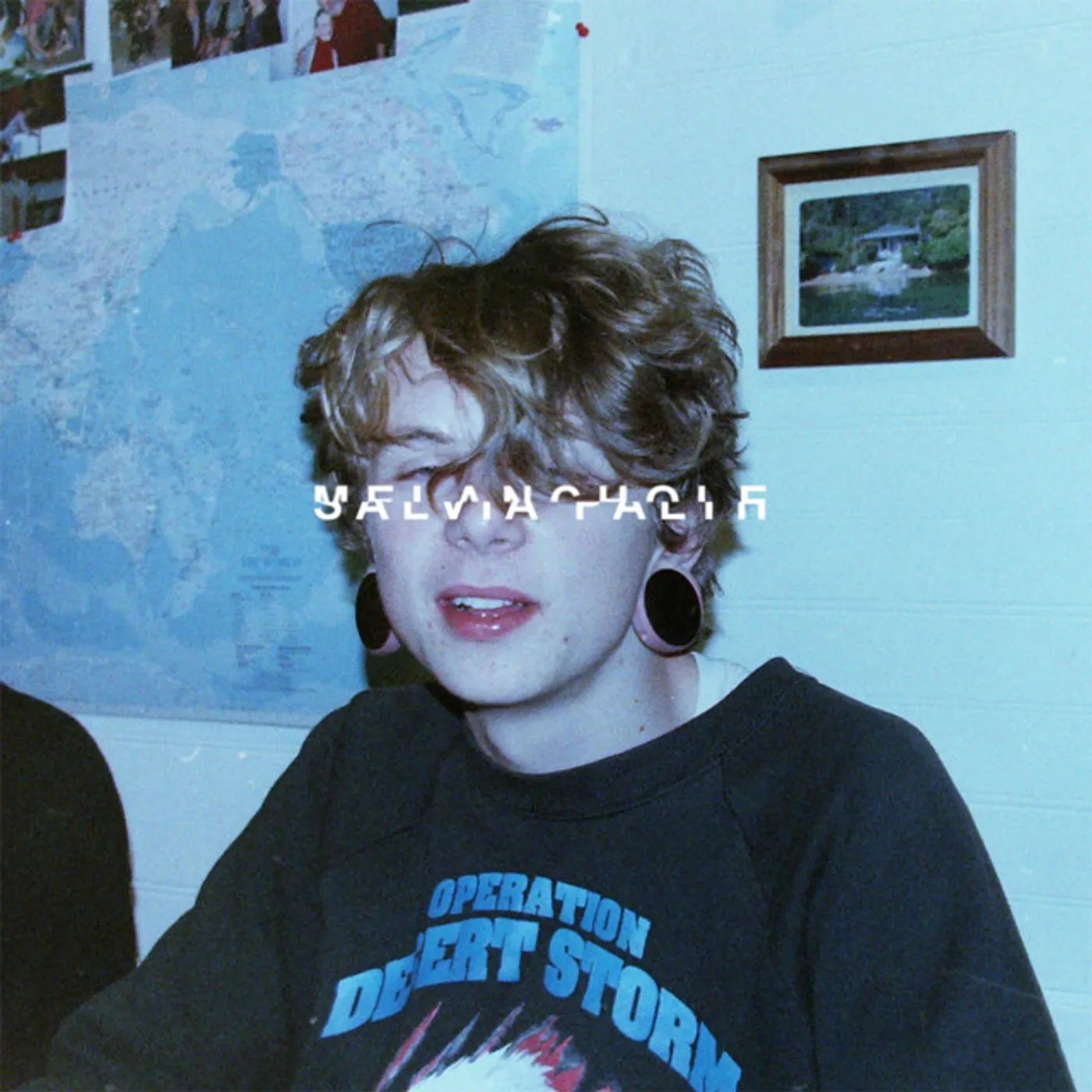 salvia palth melanchole Vinyl Record