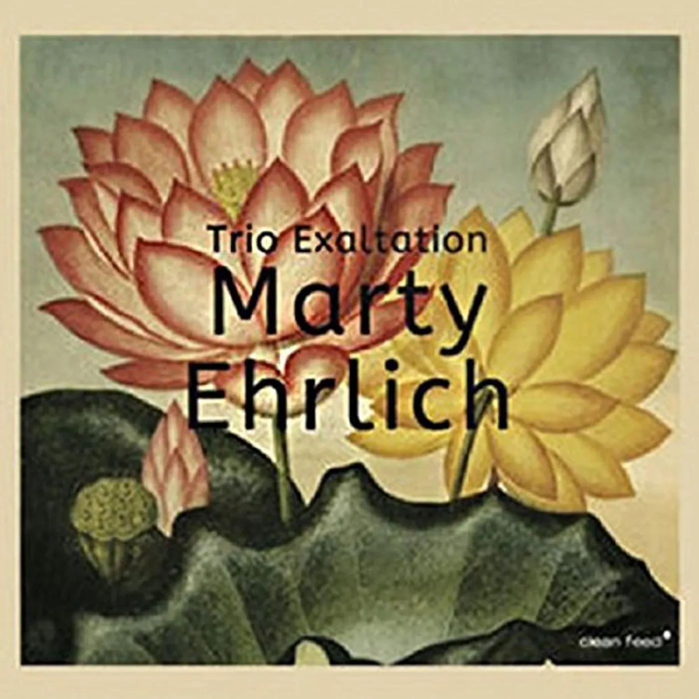 Marty Ehrlich TRIO EXALTATION CD