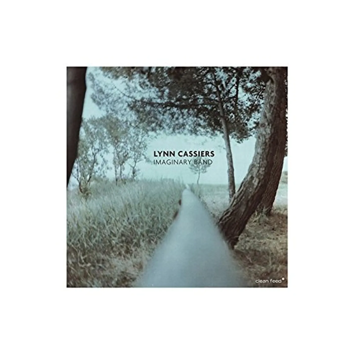 Lynn Cassiers IMAGINARY BAND CD