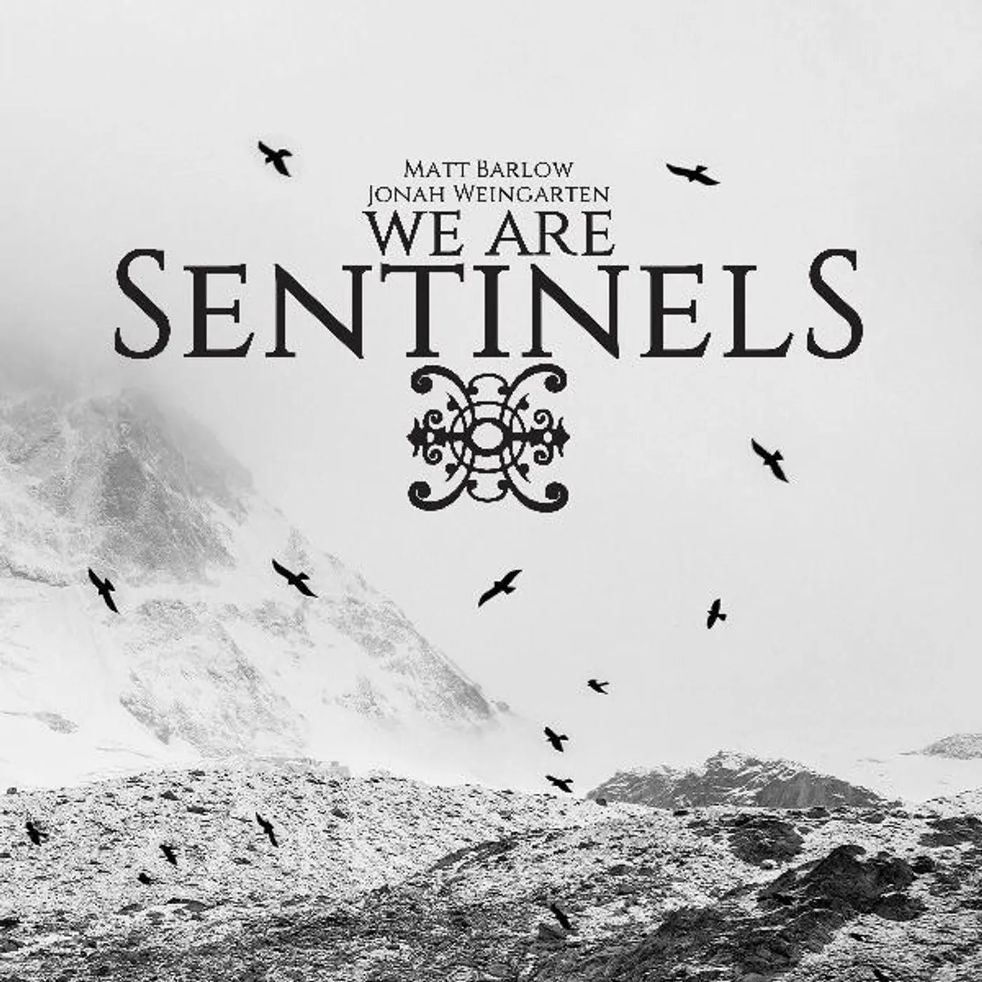 WE ARE SENTINELS CD