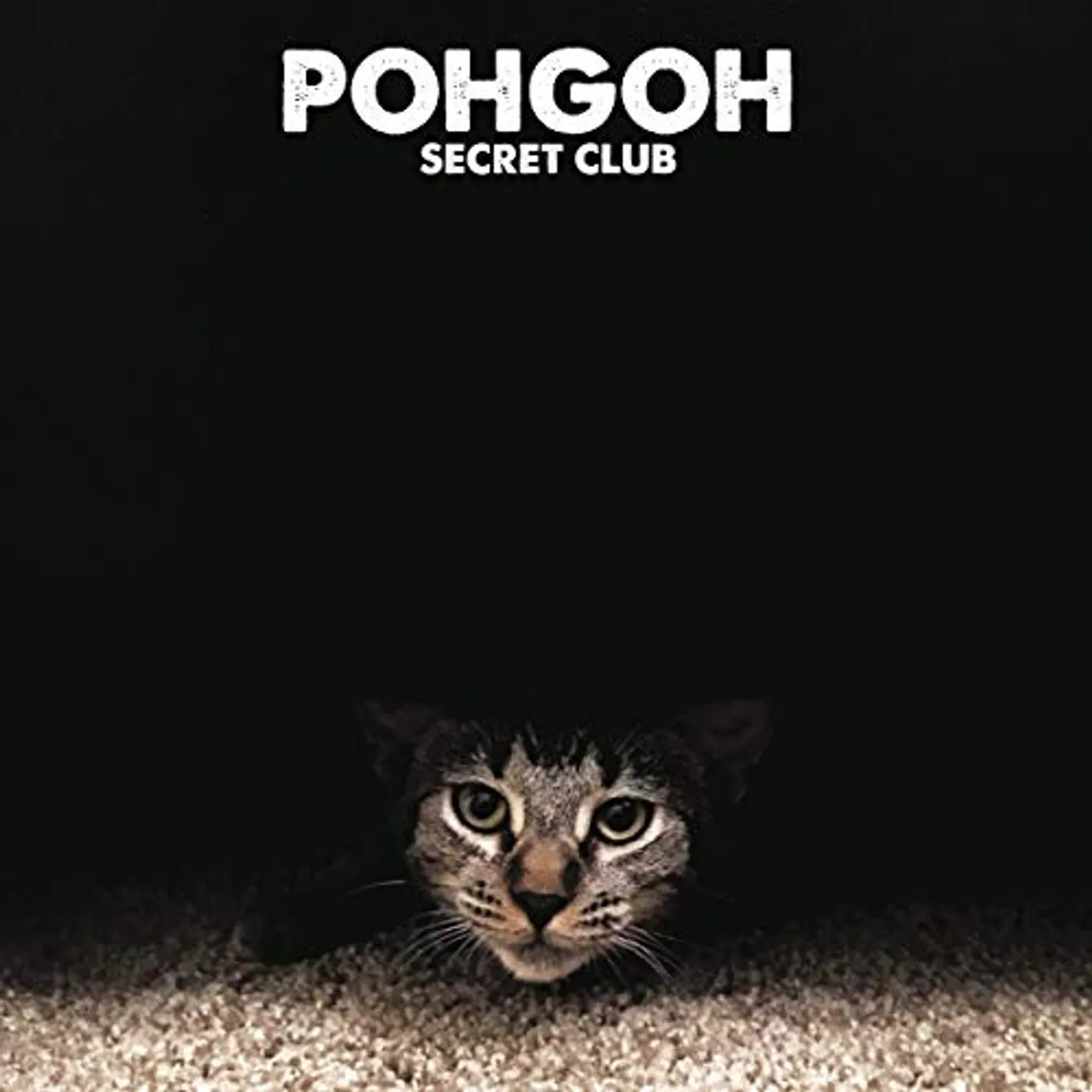 Pohgoh Secret Club Vinyl Record