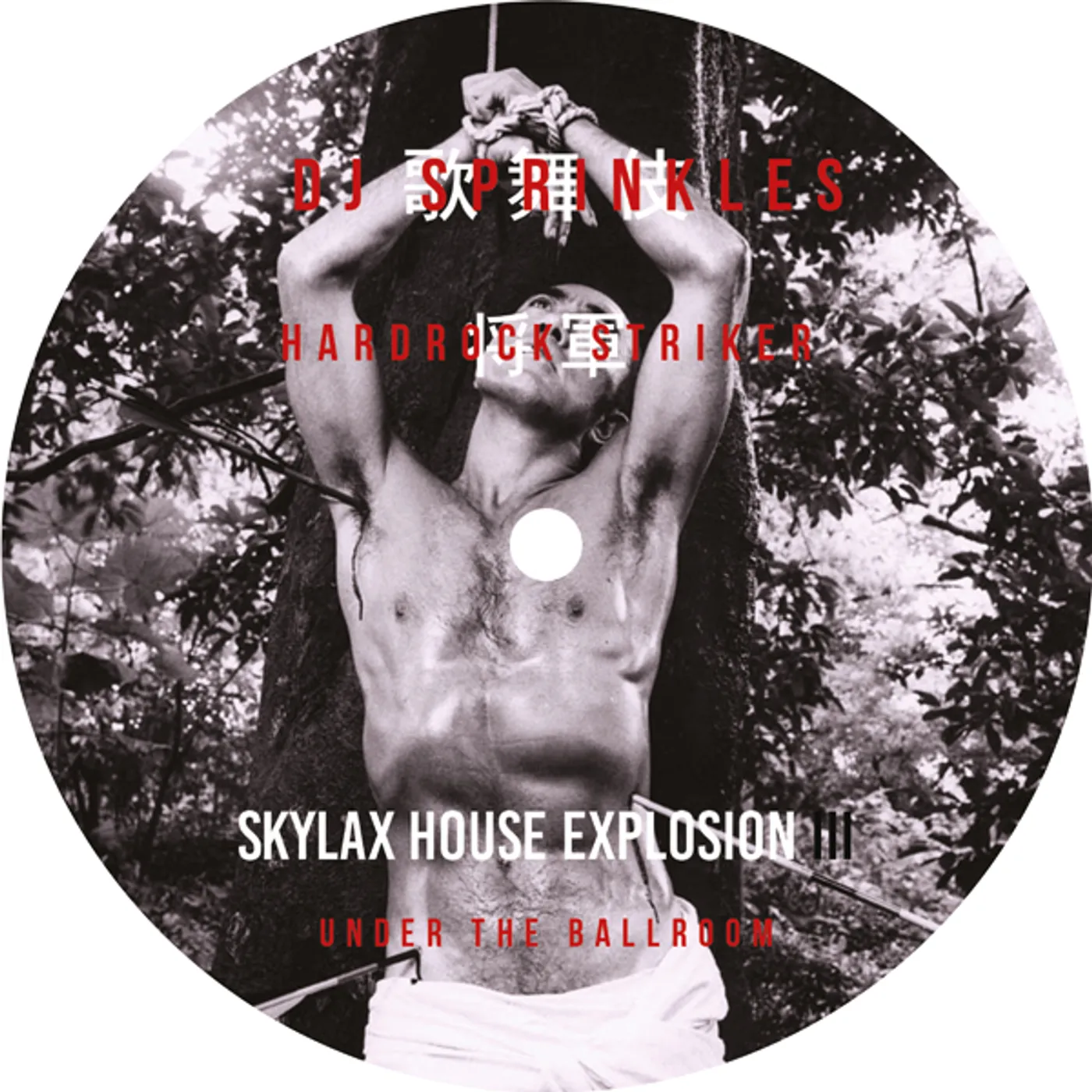 Dj Sprinkles & Hardrock Striker UNDER THE BALLROOM Vinyl Record