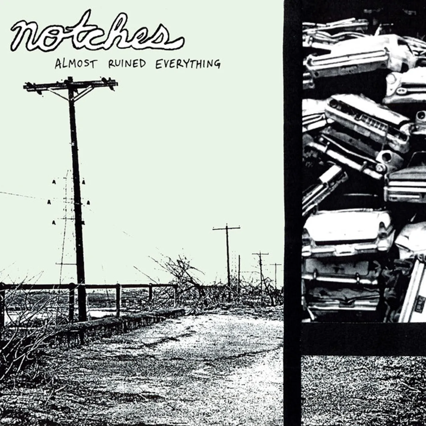 Notches Almost Ruined Everything Vinyl Record