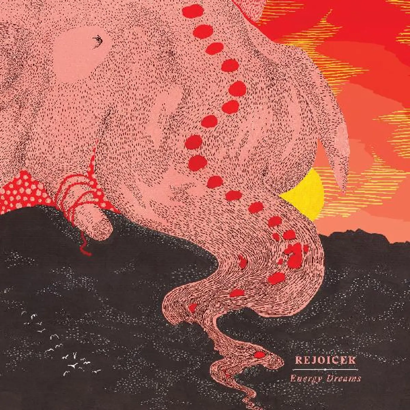 Rejoicer Energy Dreams Vinyl Record