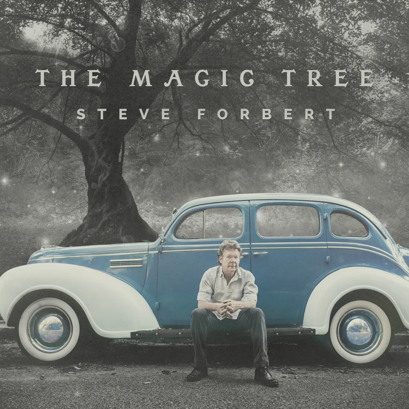 Steve Forbert The Magic Tree Vinyl Record