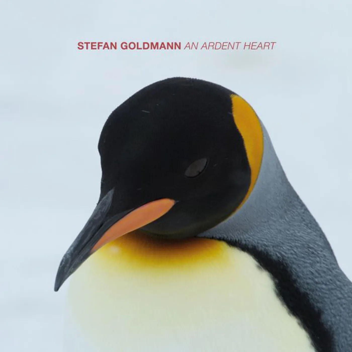 Stefan Goldmann AN ARDENT HEART Vinyl Record