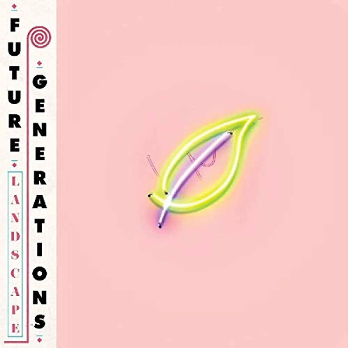 Future Generations Landscape Vinyl Record