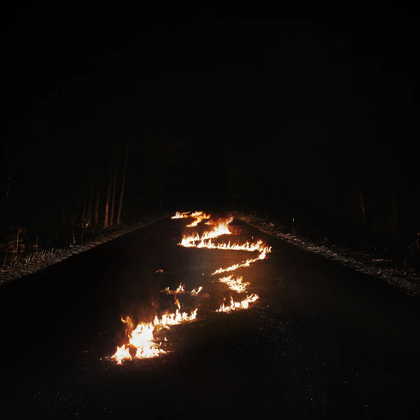 Bob Moses BATTLE LINES CD