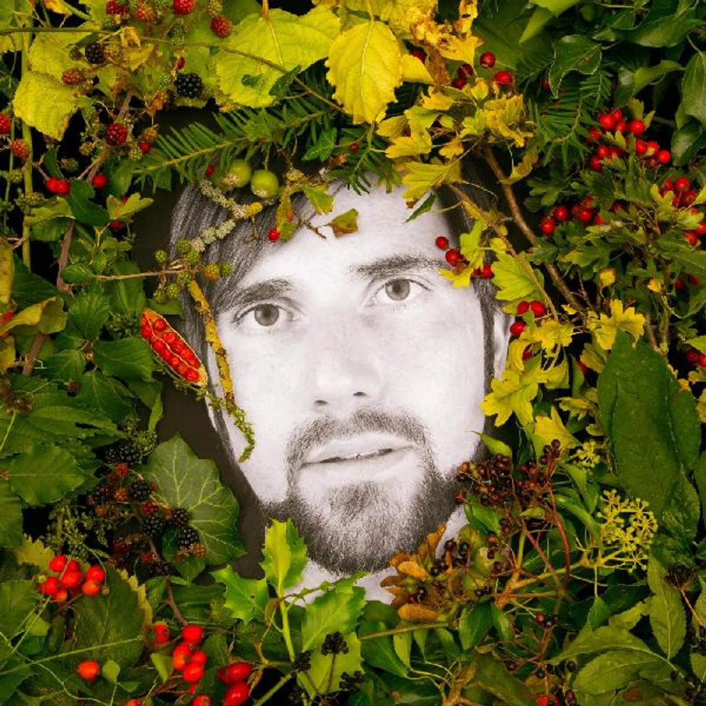 Mikey Collins HOICK CD