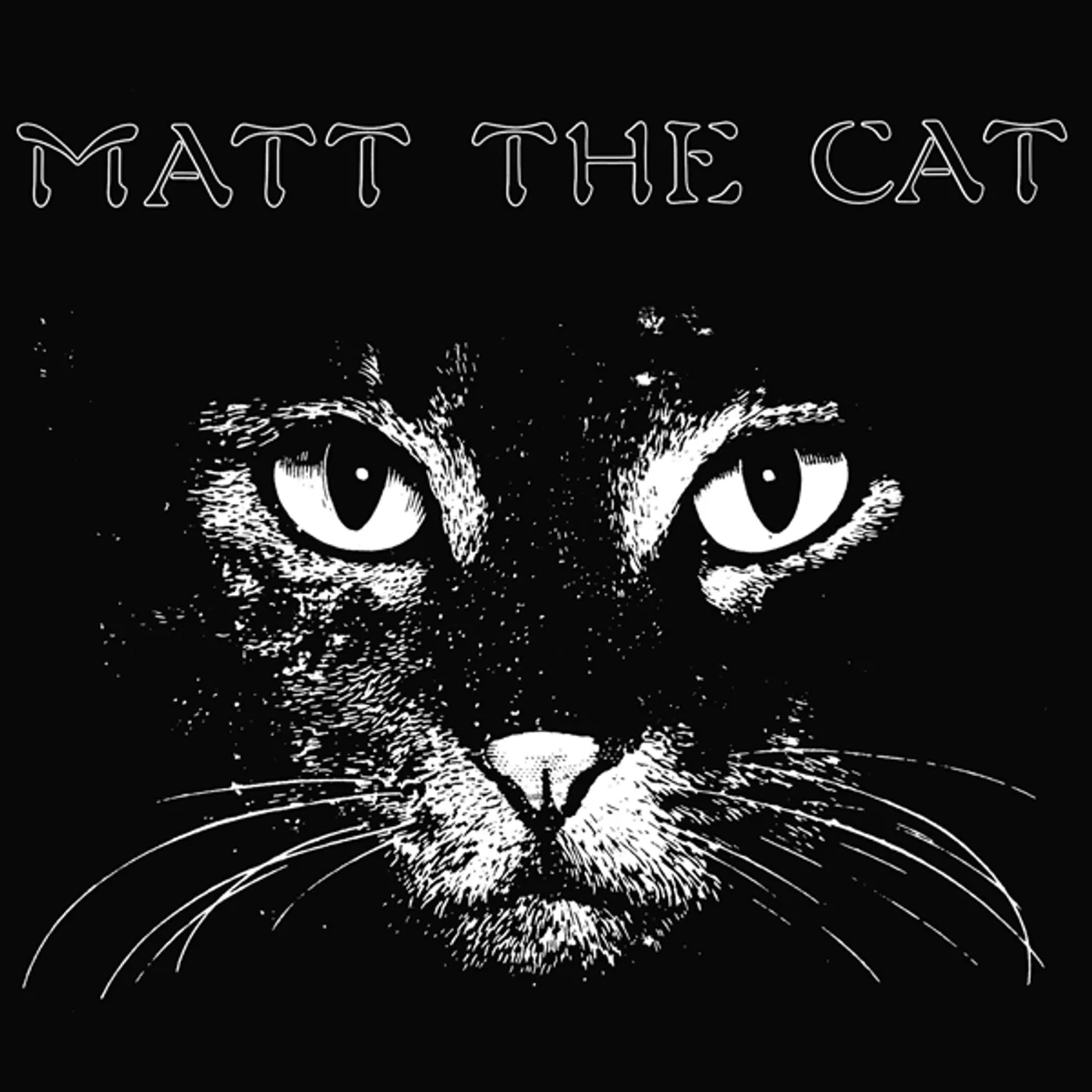 Matthew Larkin Cassell Matt The Cat Vinyl Record