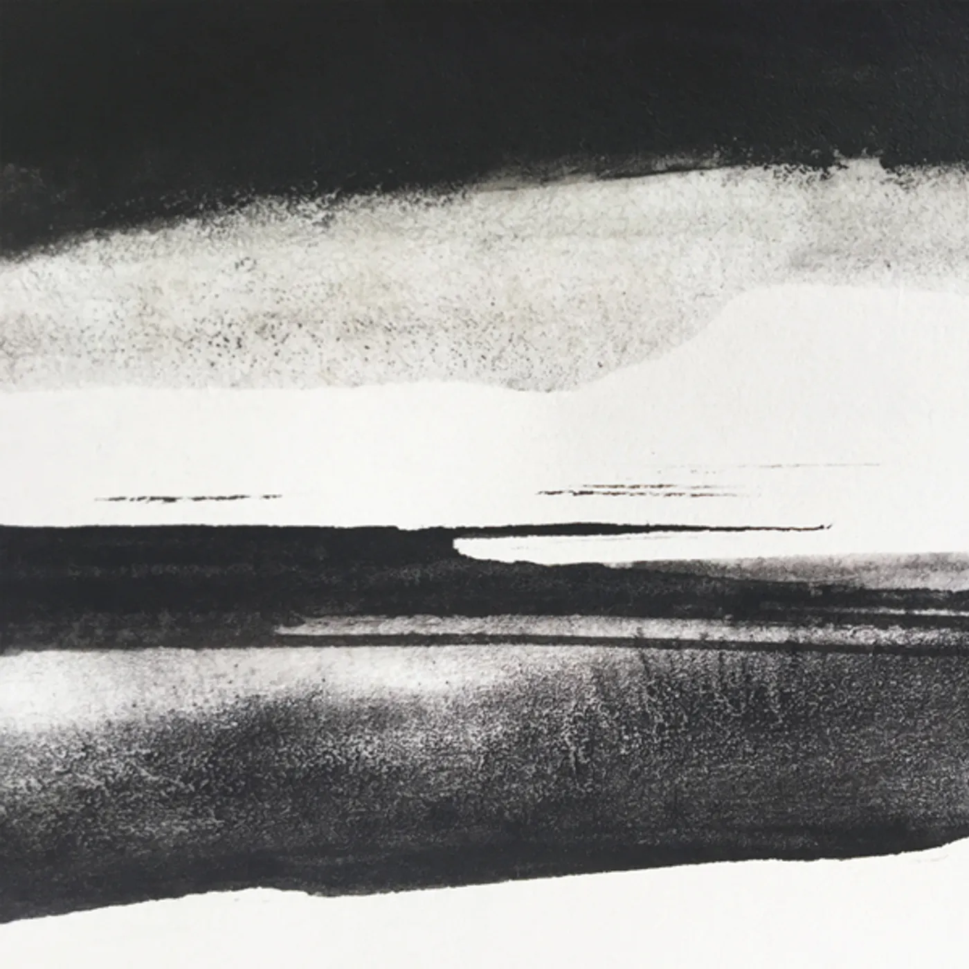 Silent Vigils FIELDEM CD