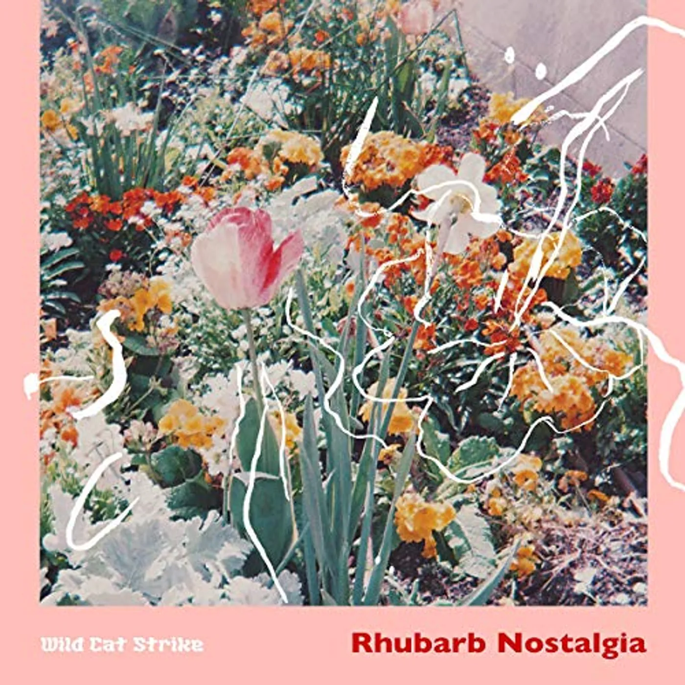 Wild Cat Strike Rhubarb Nostalgia Vinyl Record