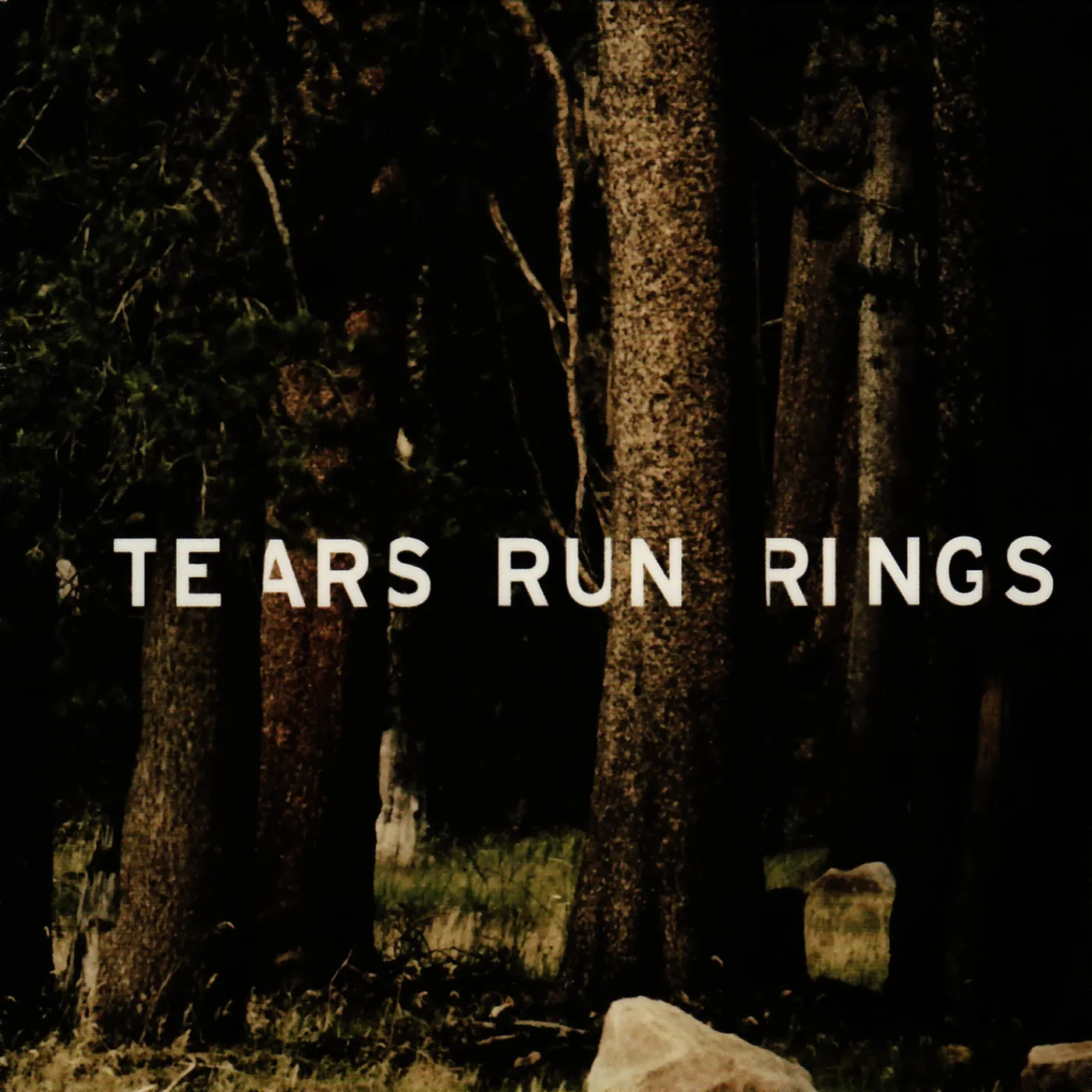 Dreampop Tears Run Rings Genre: Shoegaze ALWAYS SOMETIMES SELDOM NEVER - Limited Edition Black & Gold Colored Vinyl Record