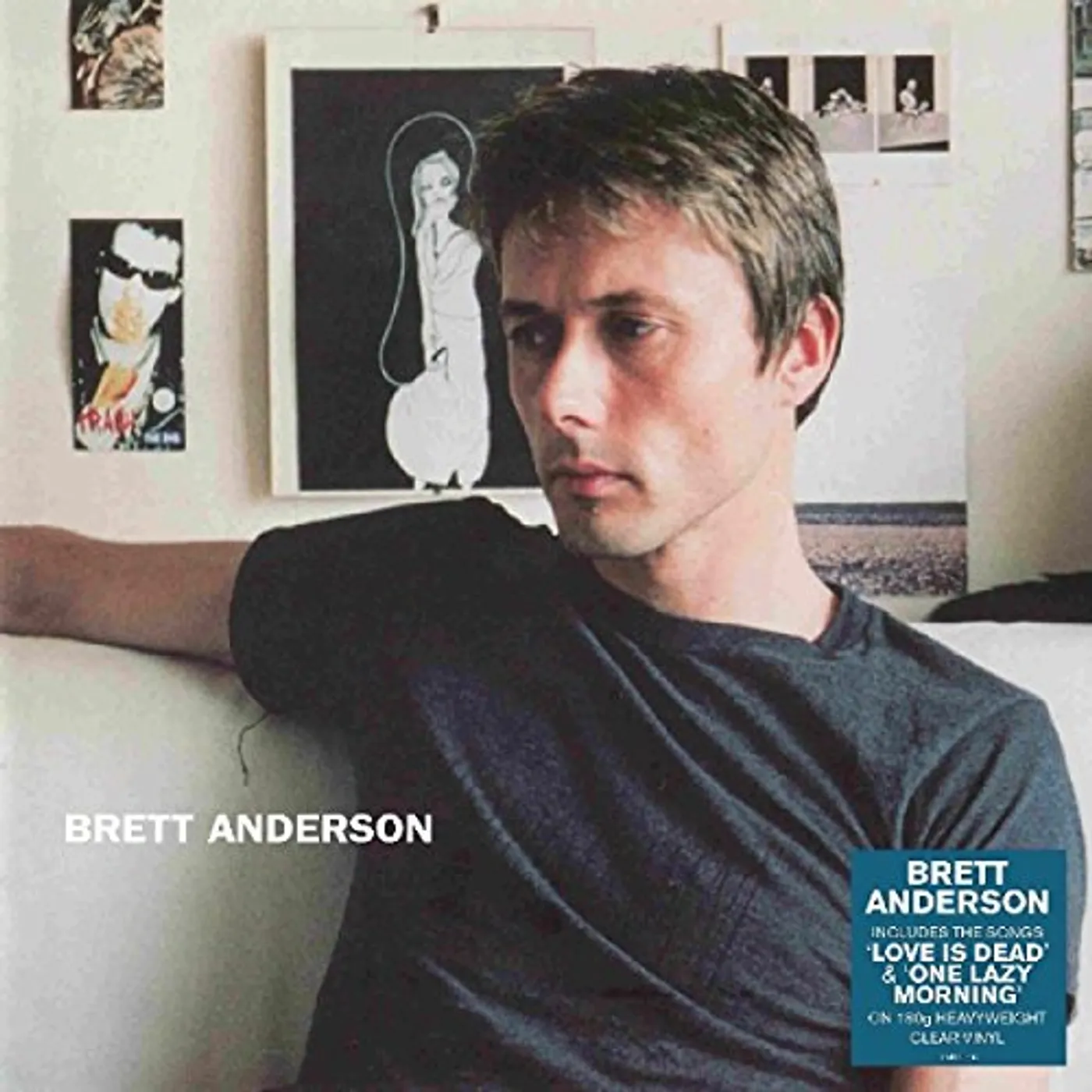Brett Anderson Vinyl Record