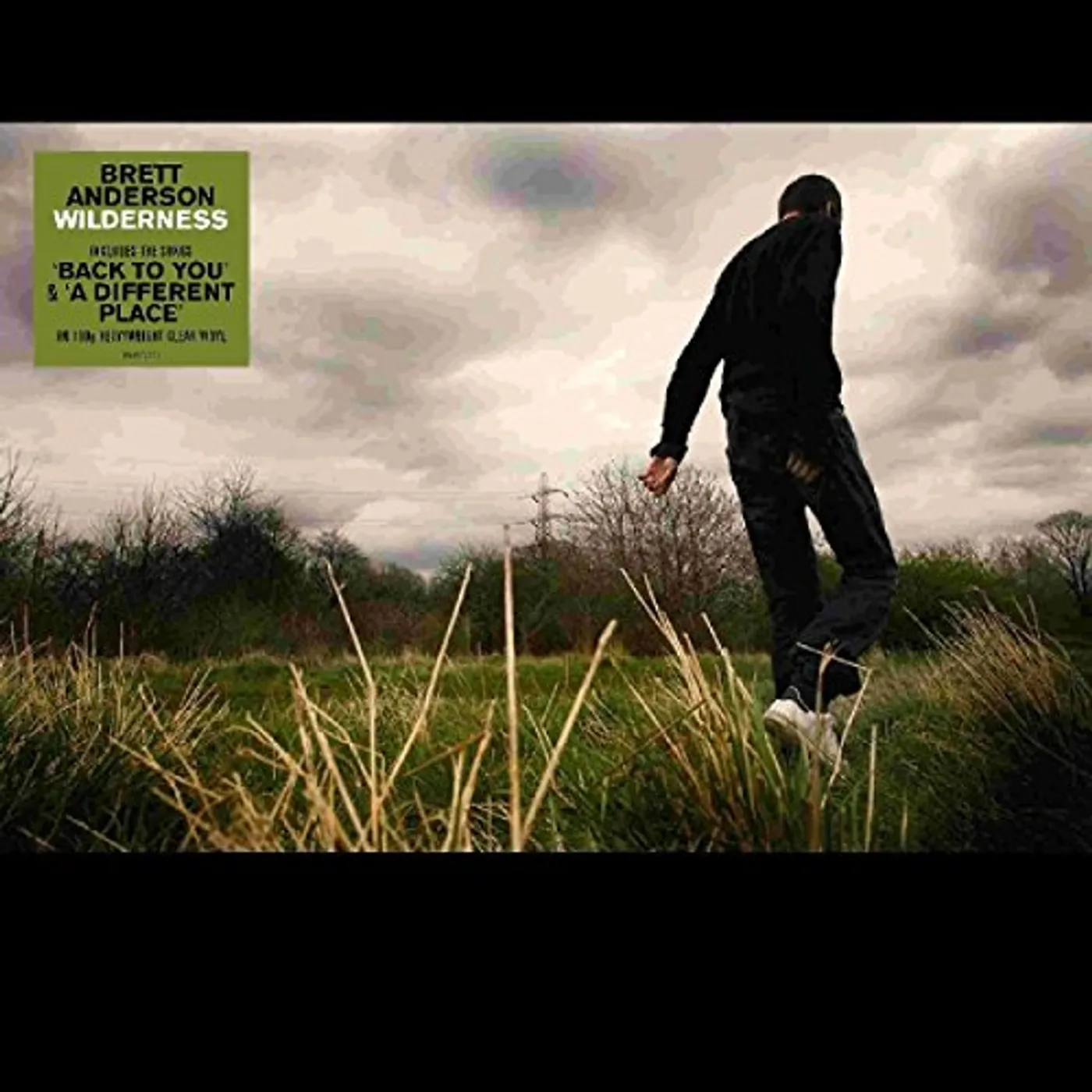 Brett Anderson WILDERNESS (COLOURED VINYL) Vinyl Record