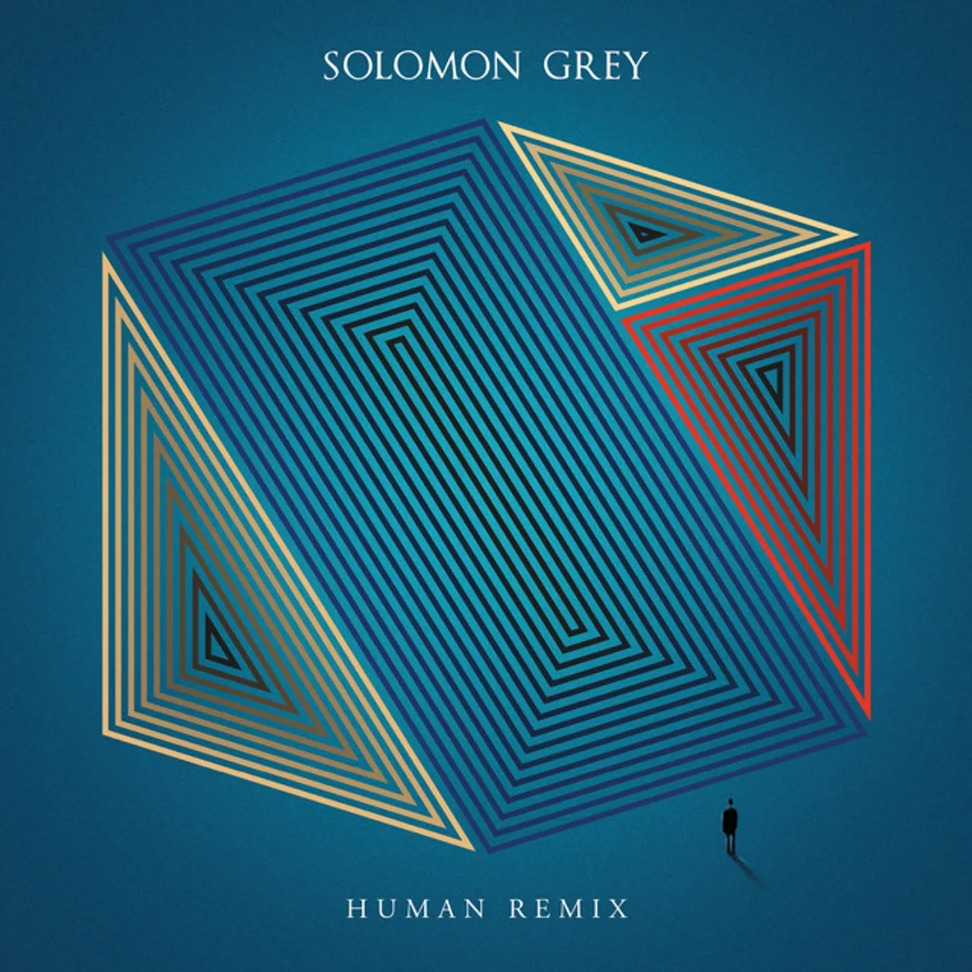 Solomon Grey Human Remix Vinyl Record