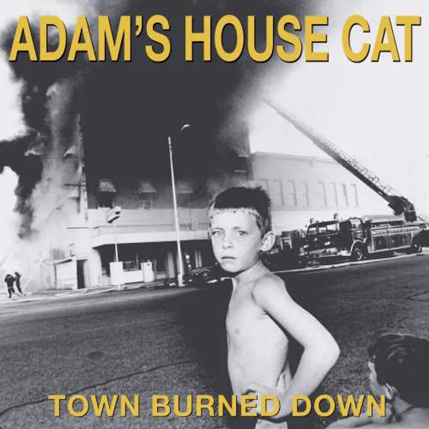 Adam's House Cat Town Burned Down Vinyl Record