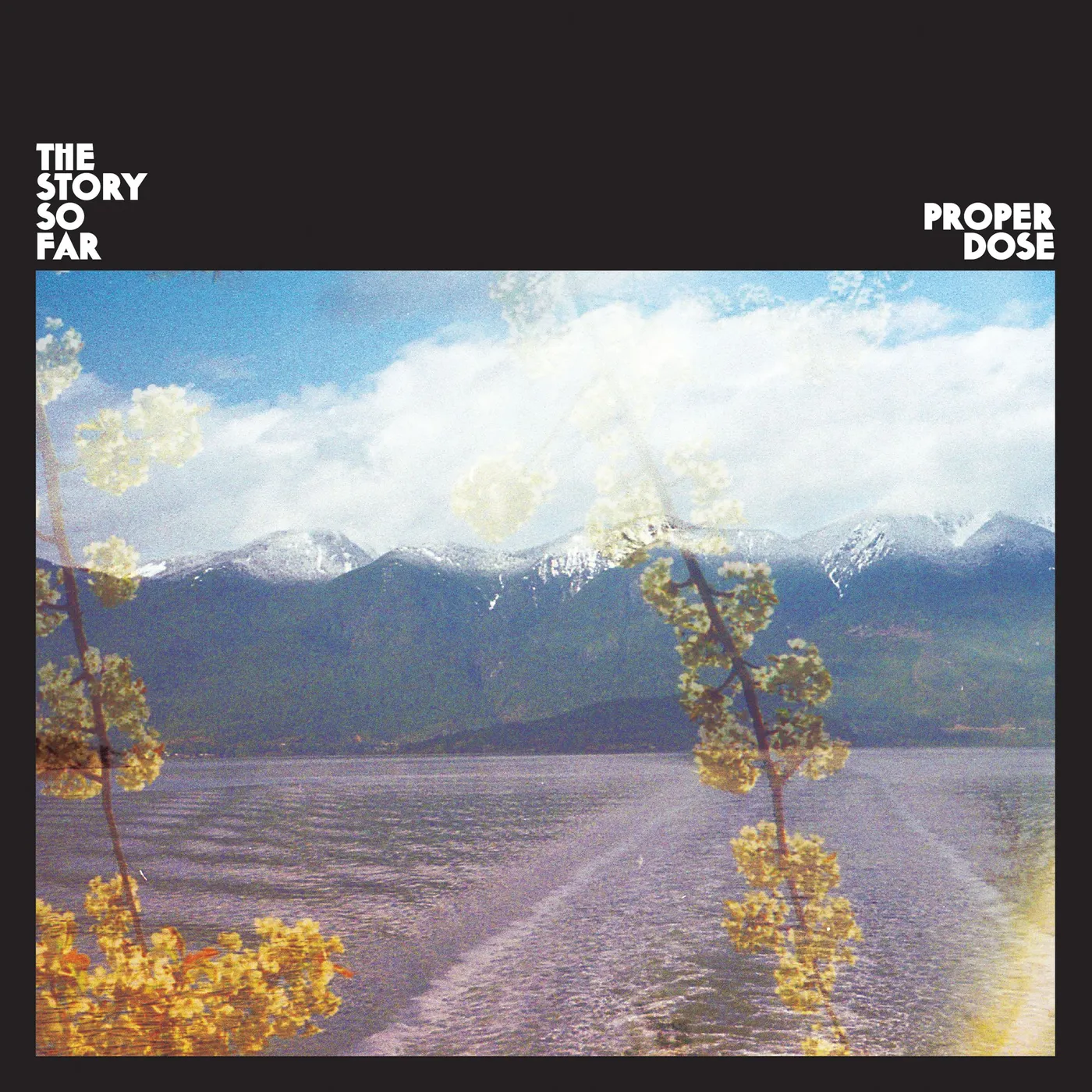 The Story So Far Proper Dose Vinyl Record