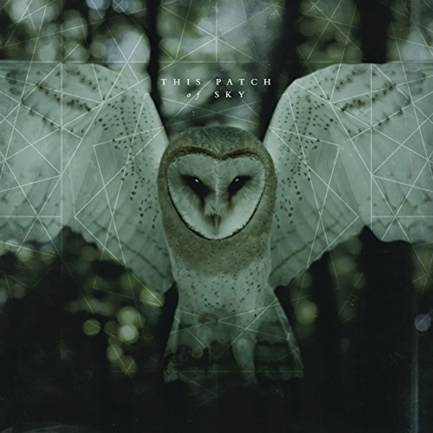 This Patch of Sky Vinyl Record