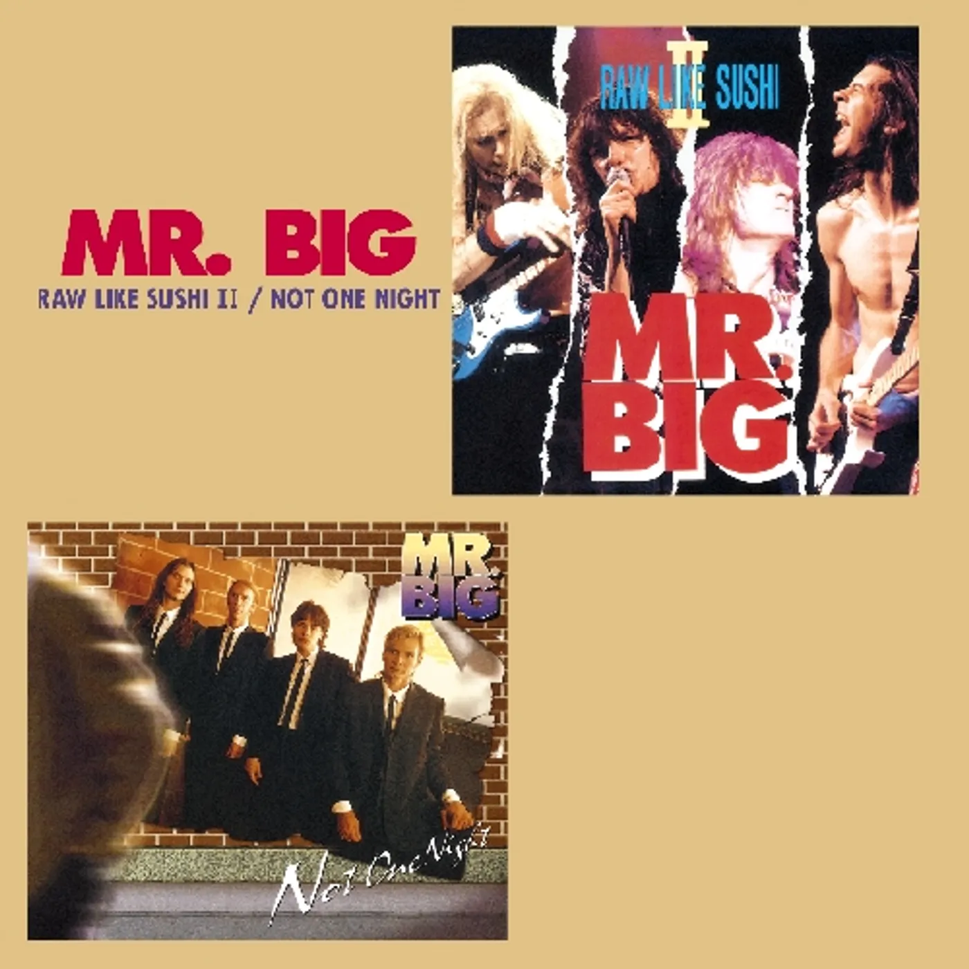 Mr. Big RAW LIKE SUSHI 2 / NOT ONE NIGHT CD