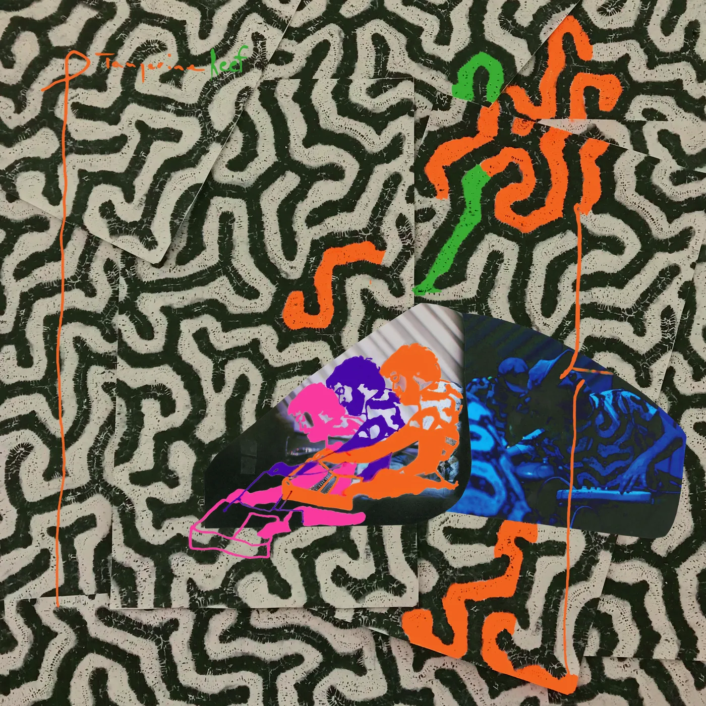 Animal Collective Tangerine Reef Vinyl Record