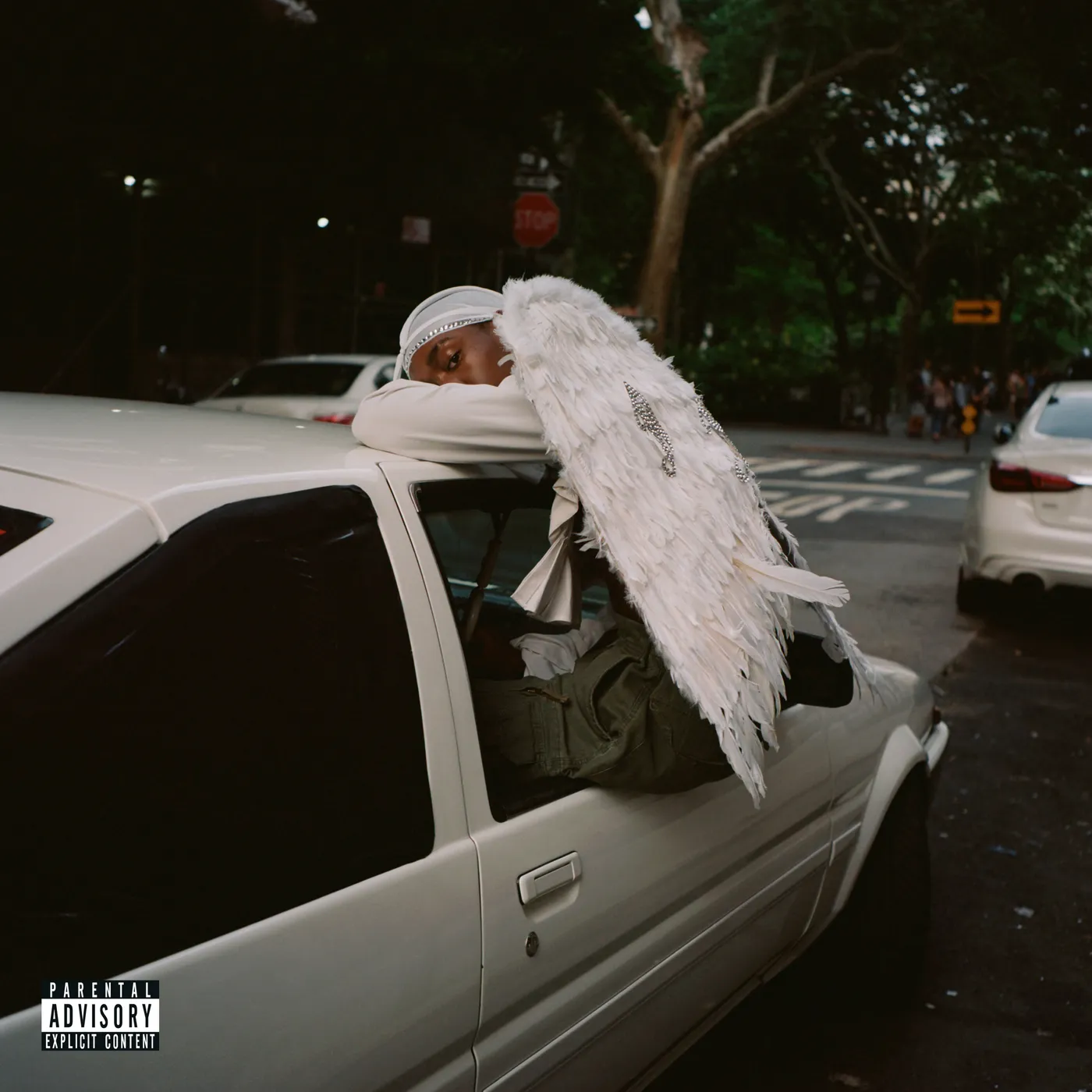 Blood Orange Negro Swan Vinyl Record