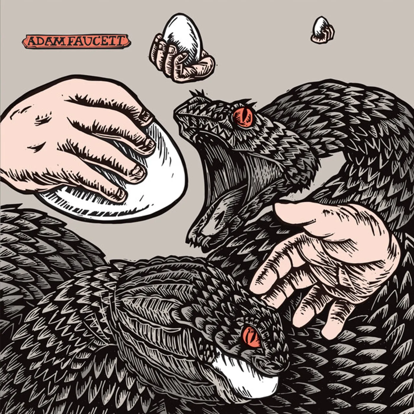 Adam Faucett It Took the Shape of a Bird Vinyl Record