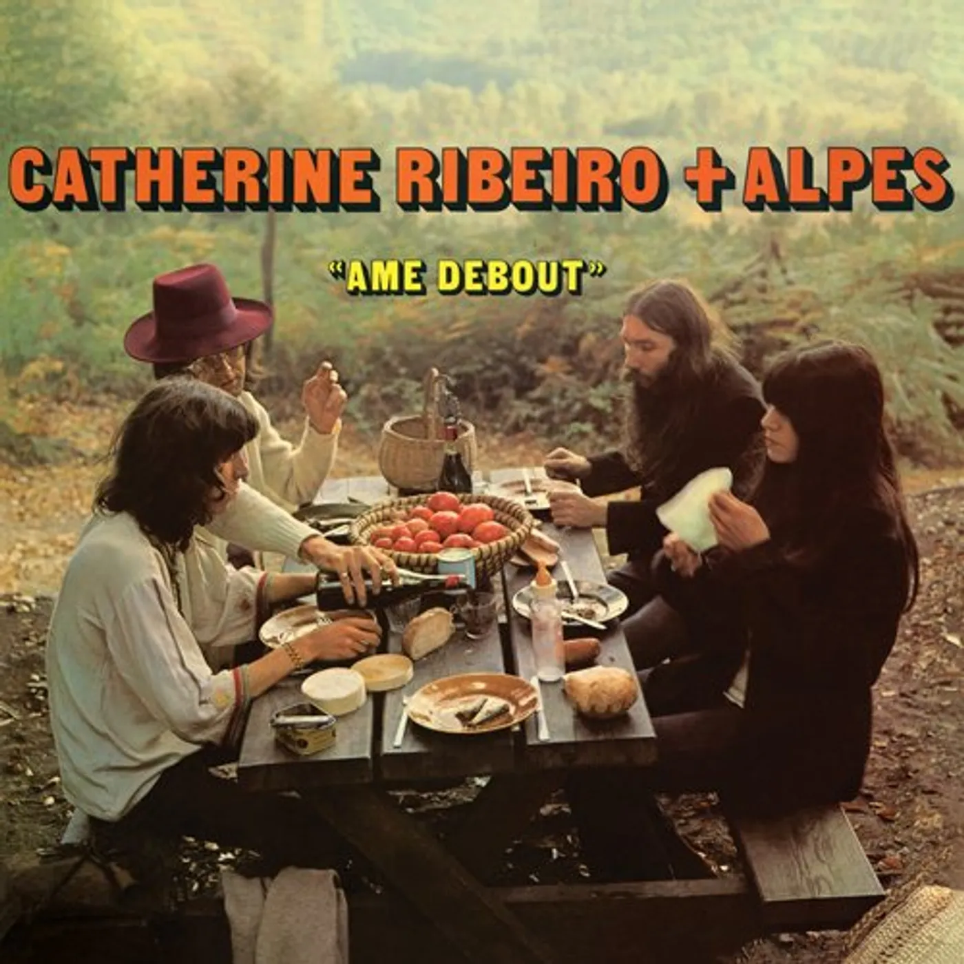 Catherine Ribeiro + Alpes Ame Debout Vinyl Record