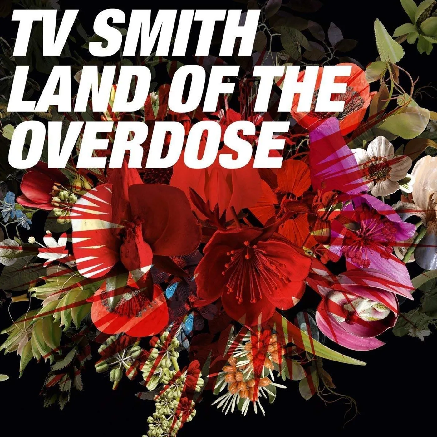 T.V. Smith LAND OF THE OVERDOSE CD