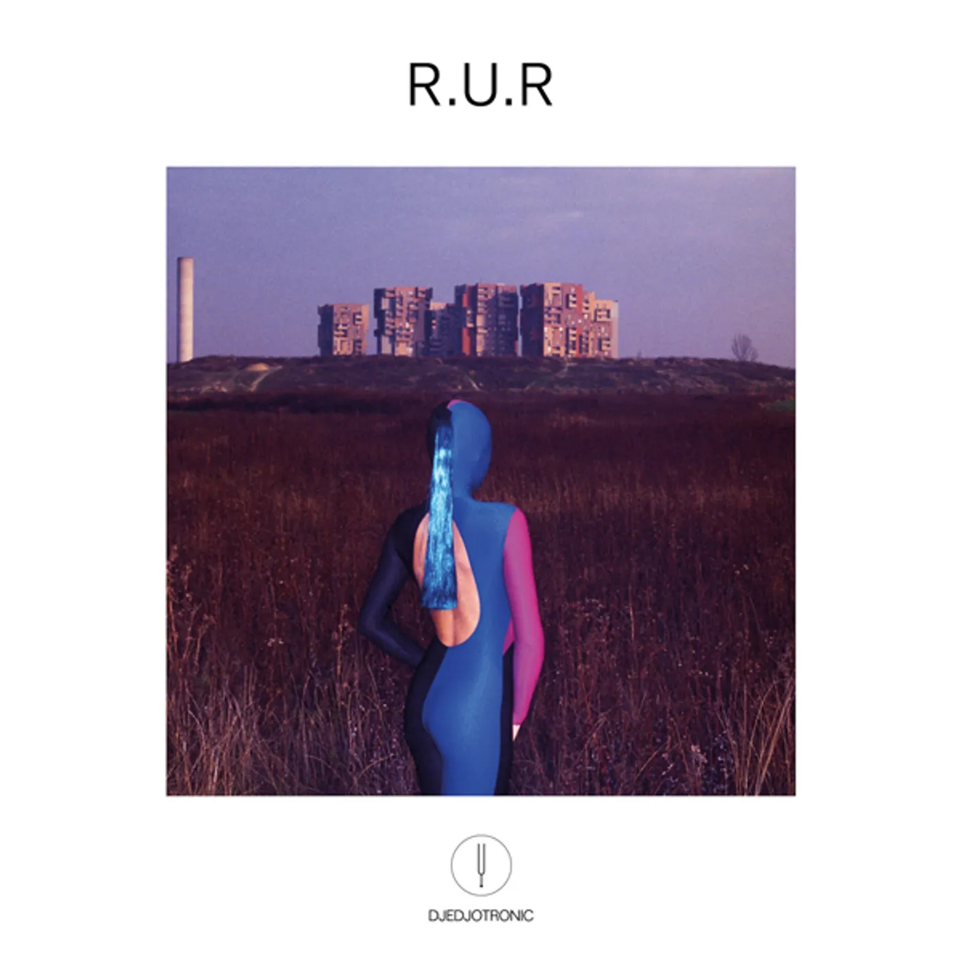 Djedjotronic R.U.R. Vinyl Record