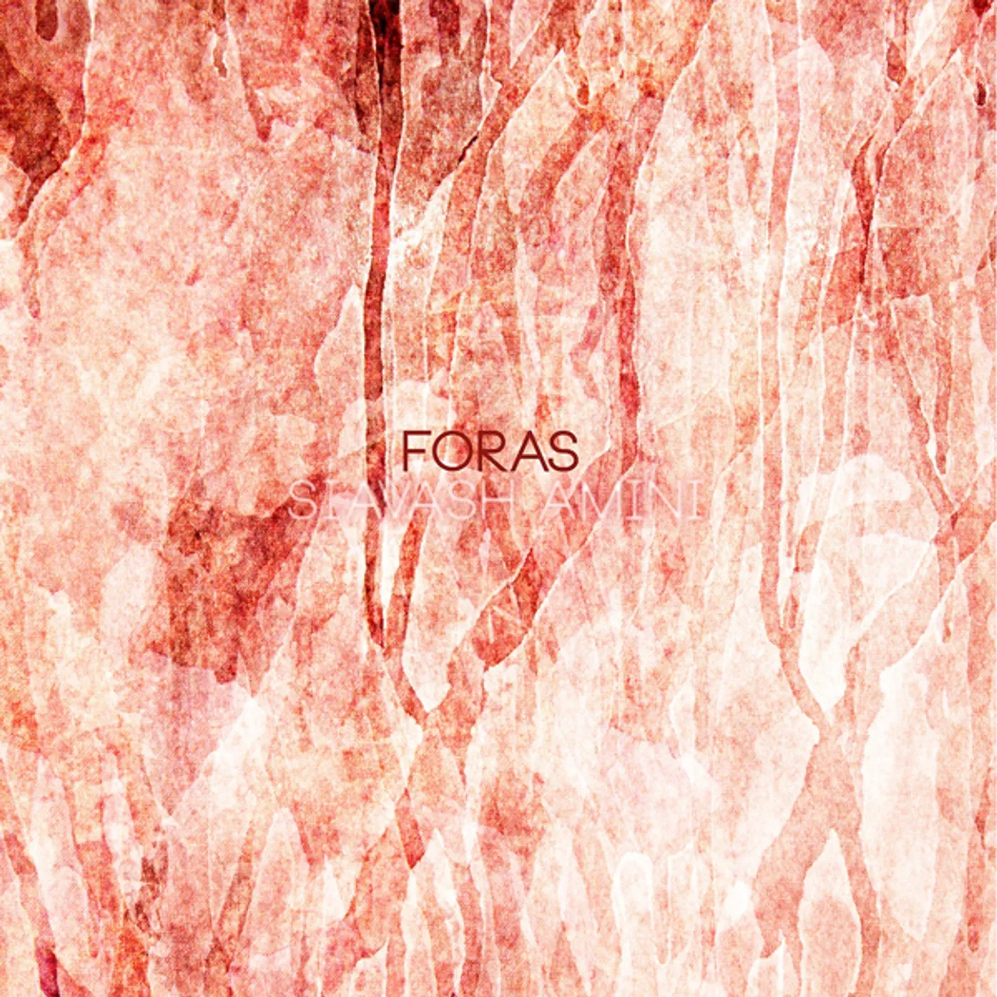 Siavash Amini FORAS Vinyl Record
