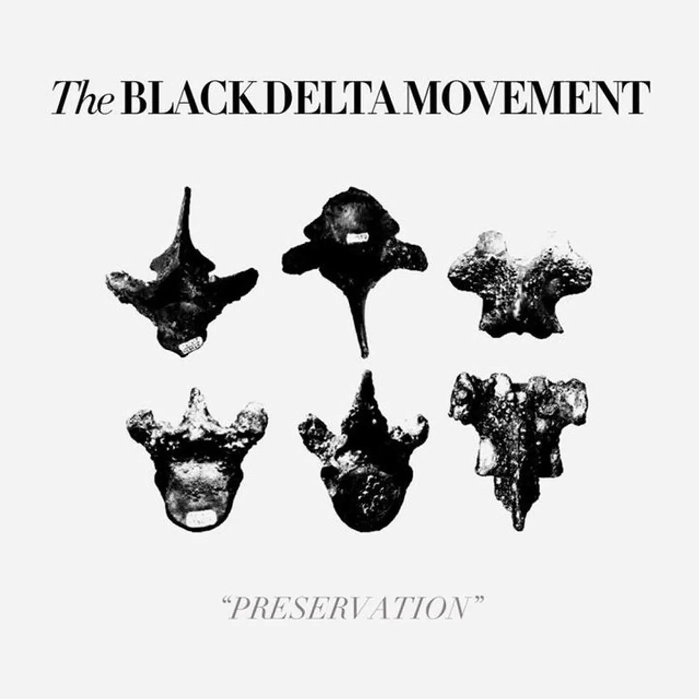 The Black Delta Movement Preservation Vinyl Record