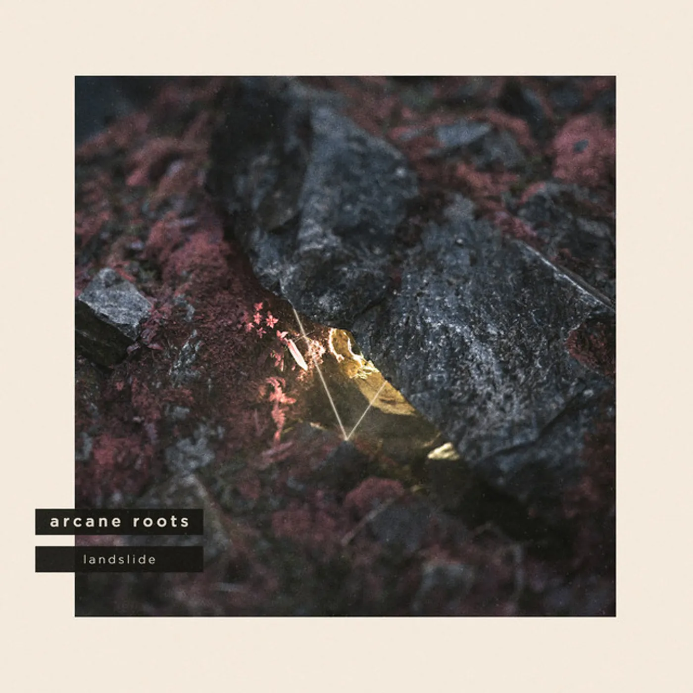 Arcane Roots Landslide Vinyl Record