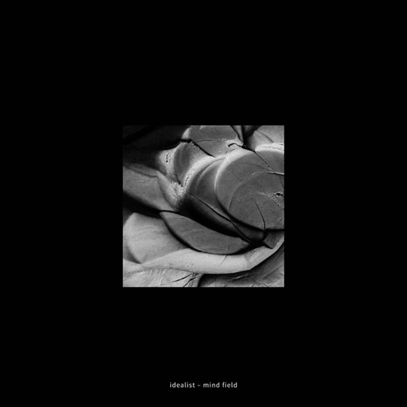 Idealist Mind Field Vinyl Record