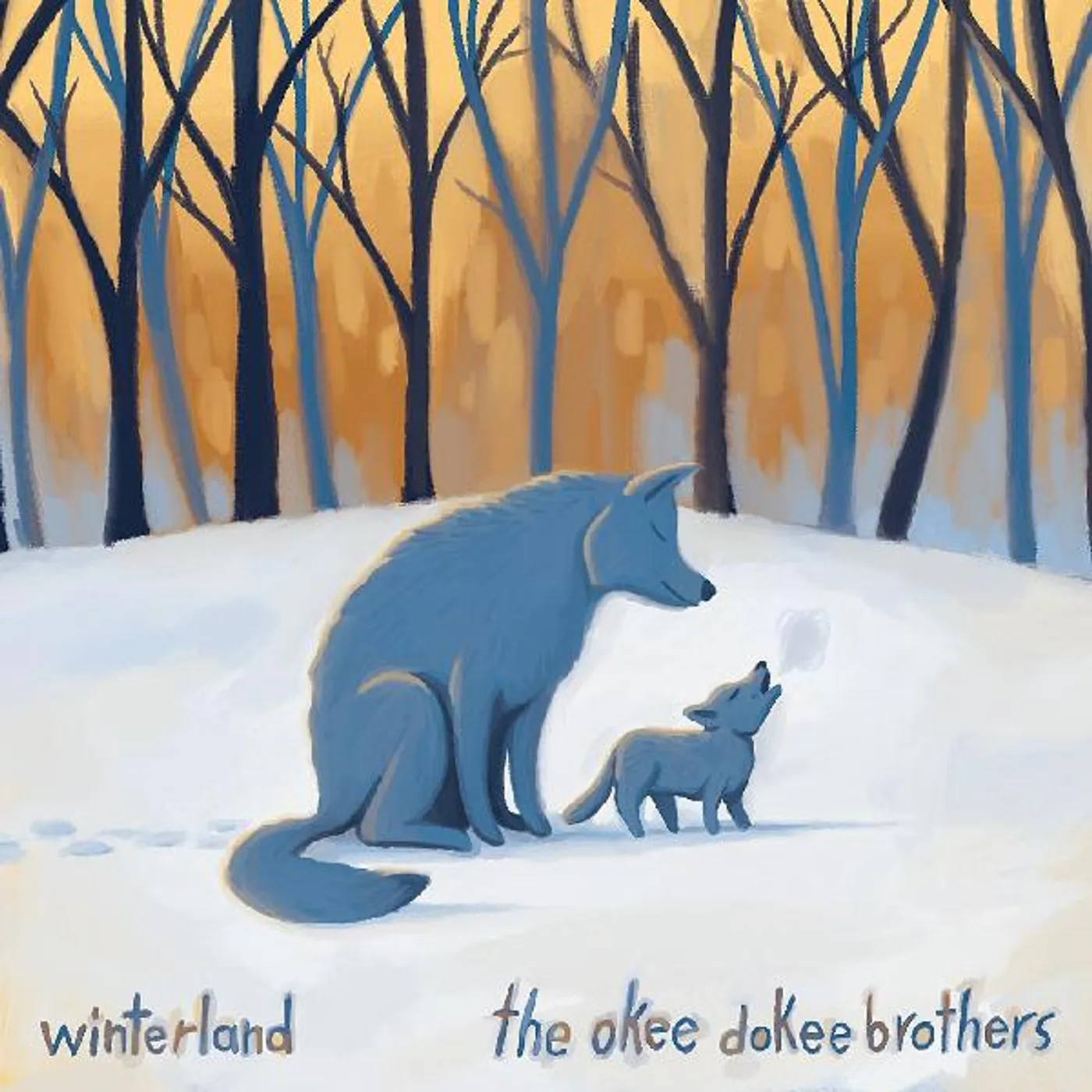 The Okee Dokee Brothers Winterland Vinyl Record
