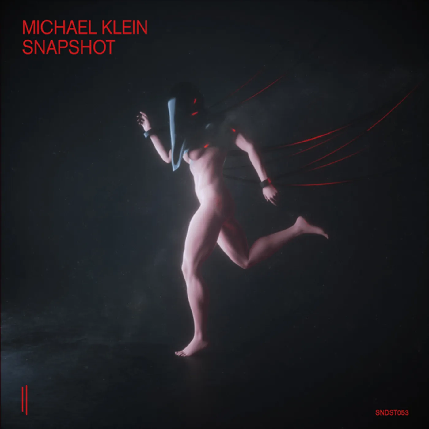 Michael Klein Snapshot Vinyl Record