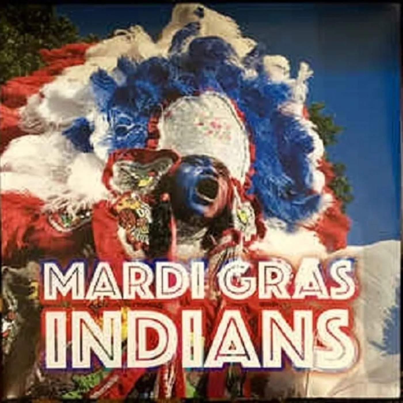 MARDI GRAS INDIANS / VARIOUS Vinyl Record