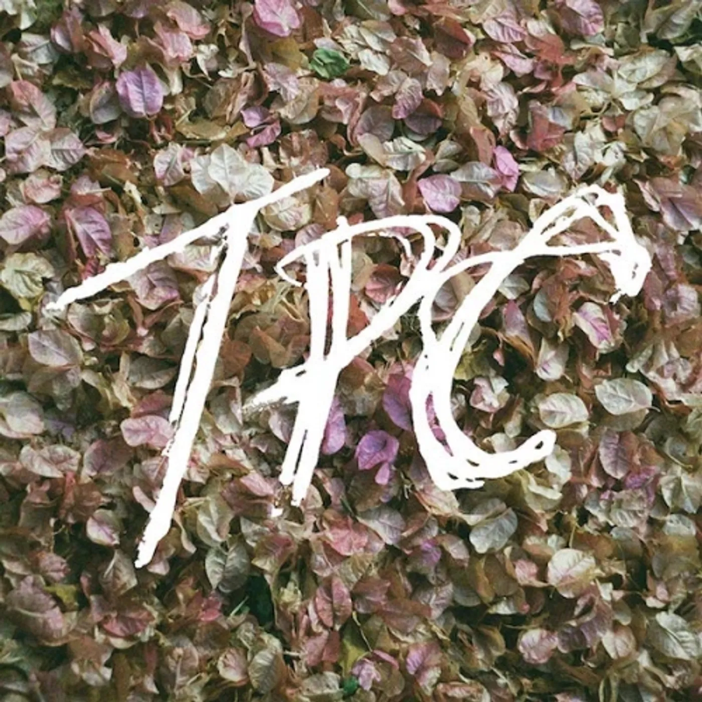 Tokyo Police Club TPC Vinyl Record