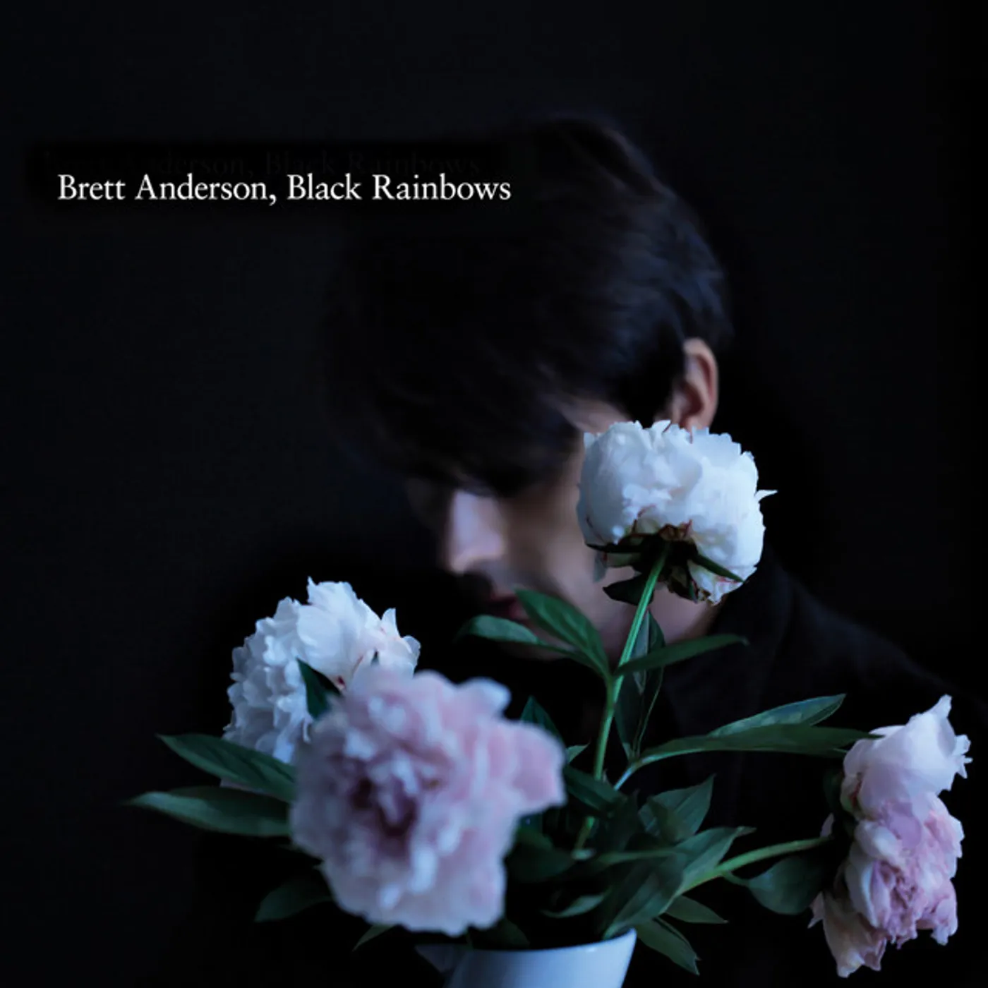 Brett Anderson Black Rainbows Vinyl Record