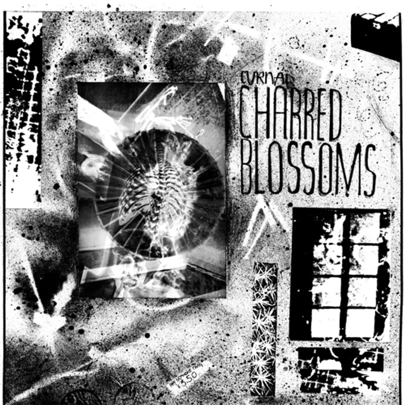 Cyrnai Charred Blossoms Vinyl Record
