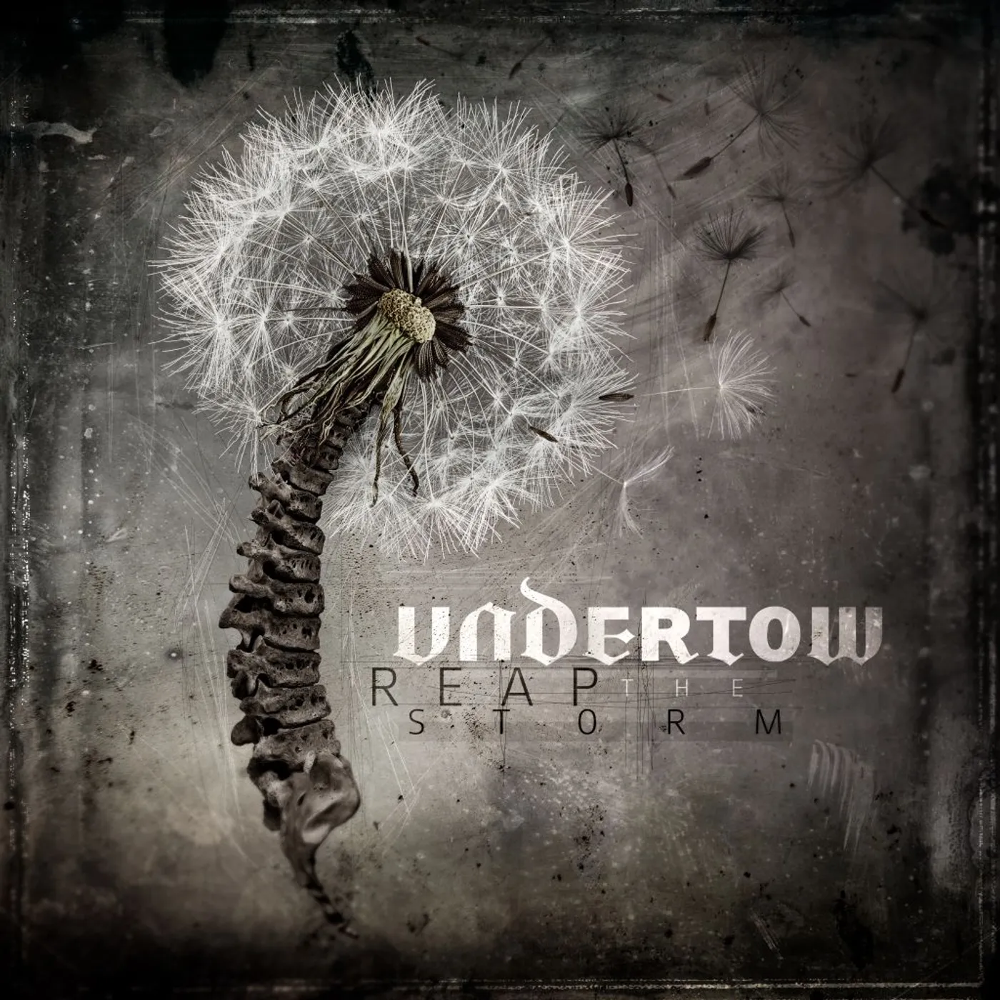 Undertow REAP THE STORM Vinyl Record