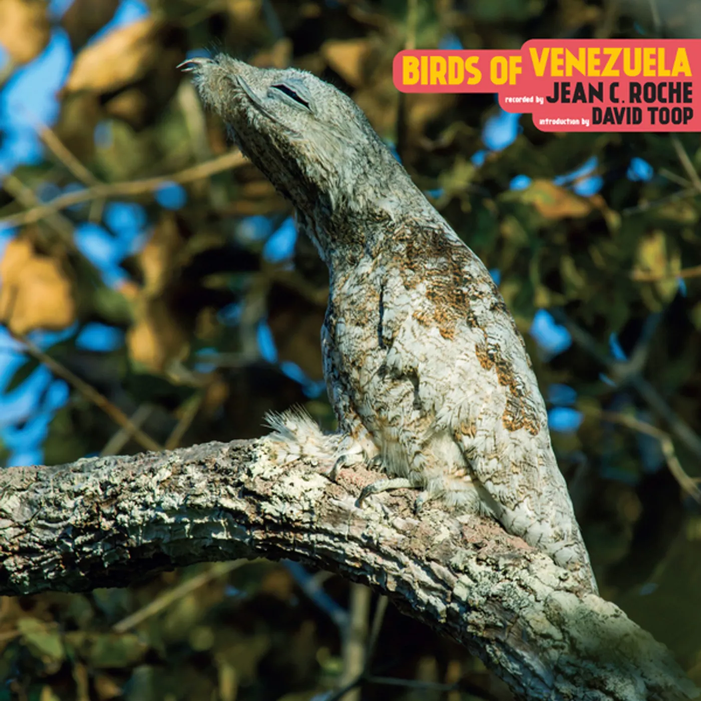 Jean C. Roché Birds Of Venezuela Vinyl Record