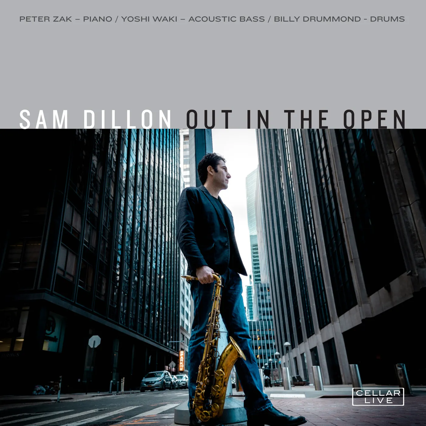 Sam Dillon OUT IN THE OPEN CD