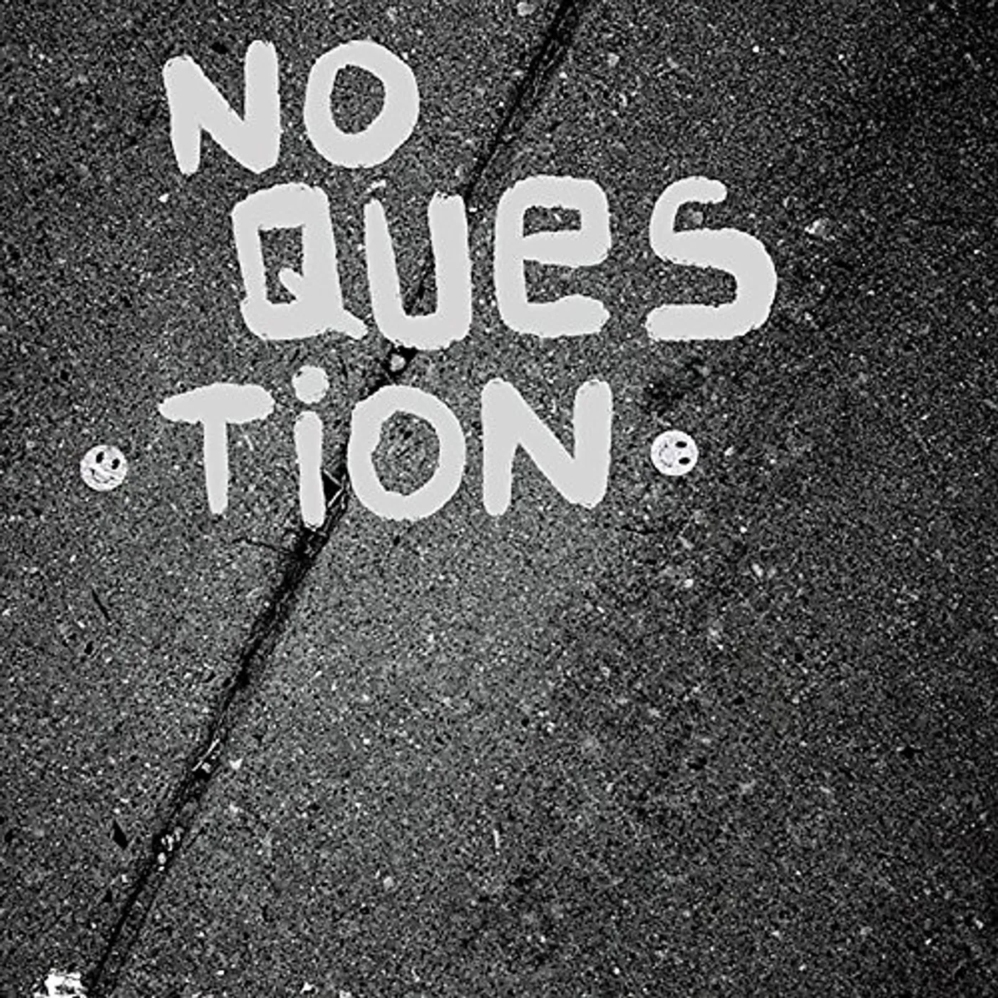 No Question Vinyl Record