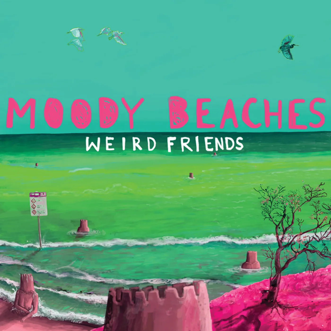 Moody Beaches Weird Friends Vinyl Record