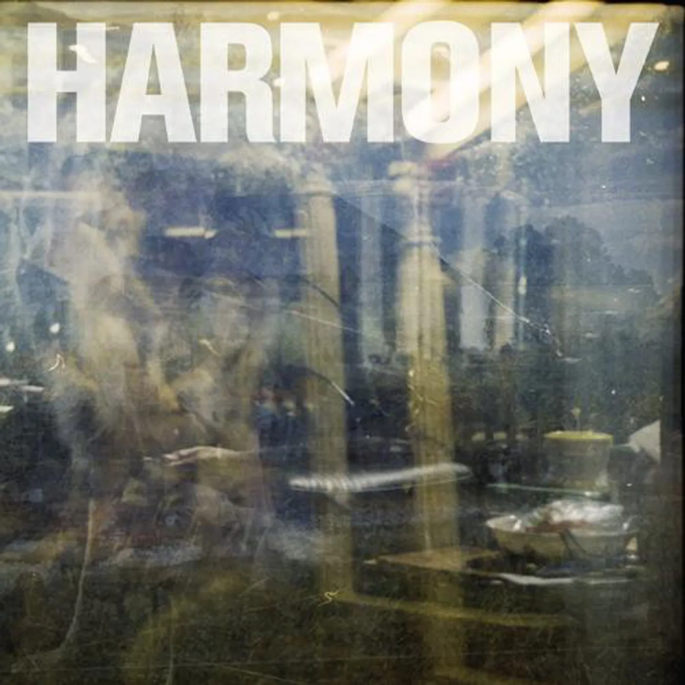 Harmony Double Negative Vinyl Record