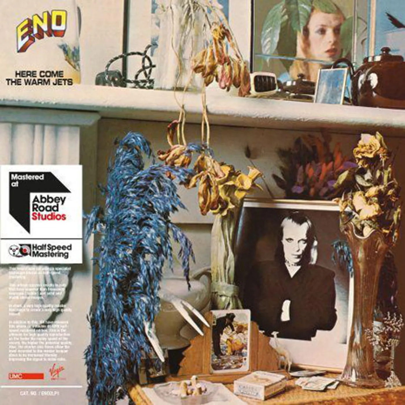Brian Eno Here Come The Warm Jets Vinyl Record
